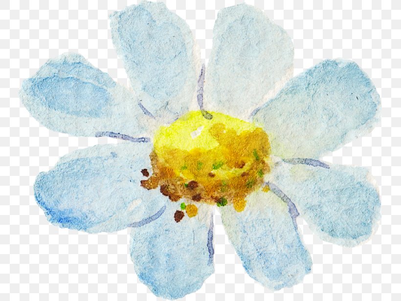 Watercolour Flowers Watercolor Painting, PNG, 745x616px, Watercolour Flowers, Artwork, Flora, Flower, Flowering Plant Download Free