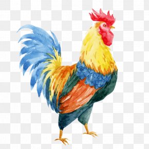 Hahn Rot - Chicken Vector Graphics Stock Photography Rooster Illustration PNG