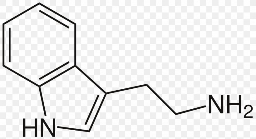 List Of Naturally Occurring Tryptamines Psychedelic Drug O-Acetylpsilocin N,N-Dimethyltryptamine, PNG, 1024x556px, Tryptamine, Alkaloid, Area, Black, Black And White Download Free
