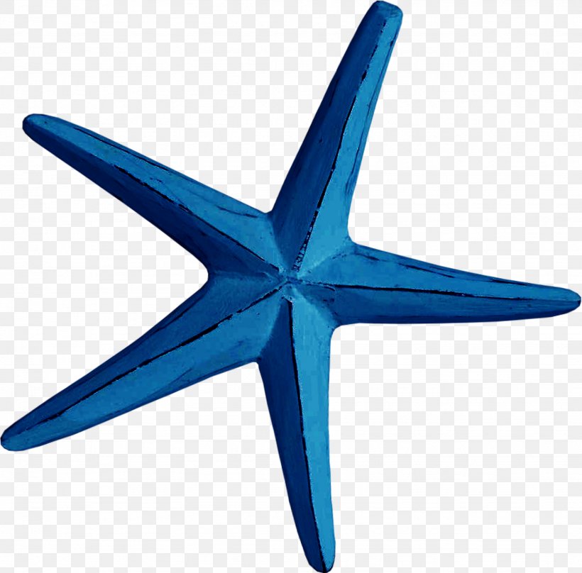 Starfish Blue Creativity Euclidean Vector, PNG, 1948x1921px, Starfish, Blue, Creativity, Data, Data Compression Download Free