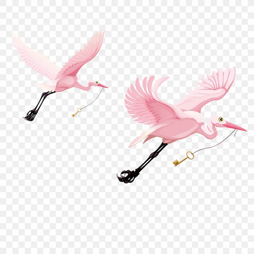 Water Bird Cygnini Wing, PNG, 1500x1500px, Bird, Beak, Crane Like Bird, Cygnini, Feather Download Free