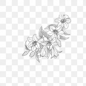 Amit Pattern - Artist Daenerys Targaryen DeviantArt Digital Art PNG