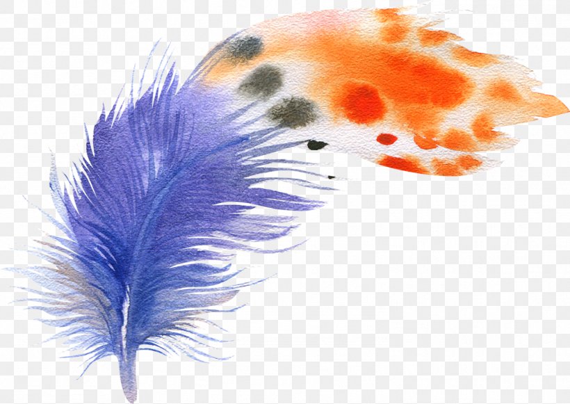 Bird Feather Watercolor Painting Drawing Illustration, PNG, 1499x1063px, Bird, Bohochic, Color, Drawing, Feather Download Free