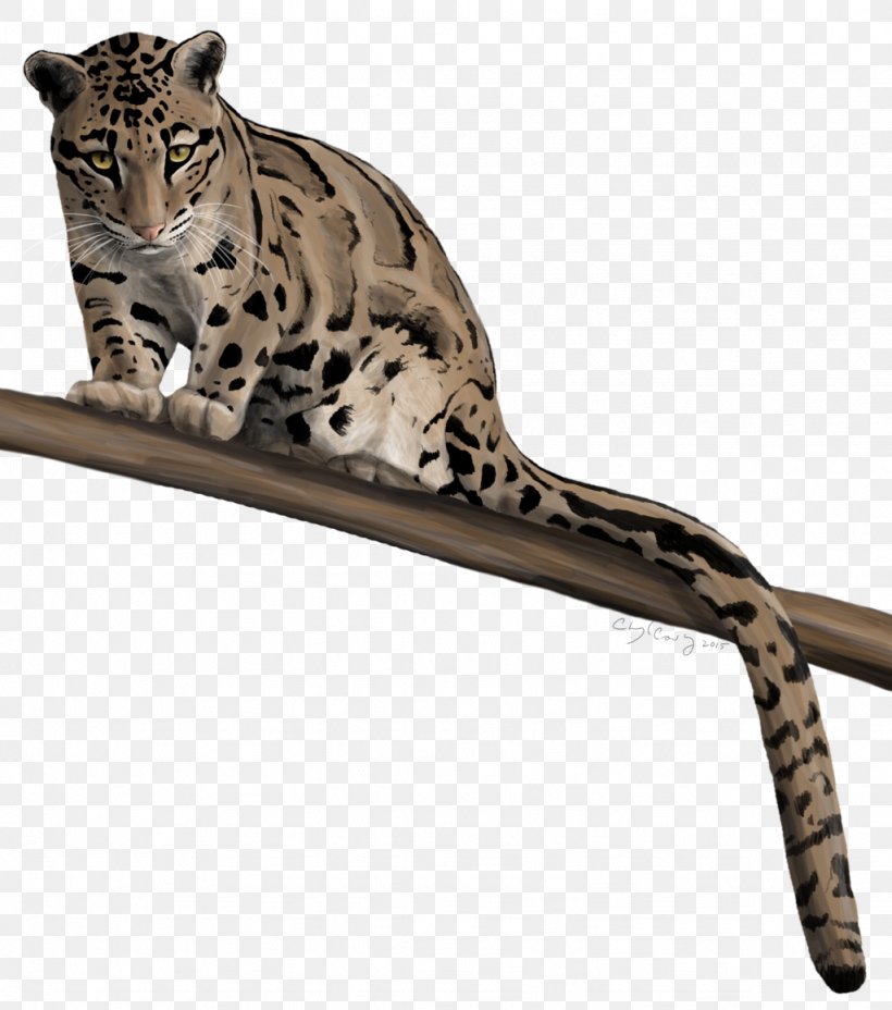 Leopard Cheetah Impala Felidae Ocelot, PNG, 1024x1159px, Leopard, Animal, Animal Figure, Big Cat, Big Cats Download Free