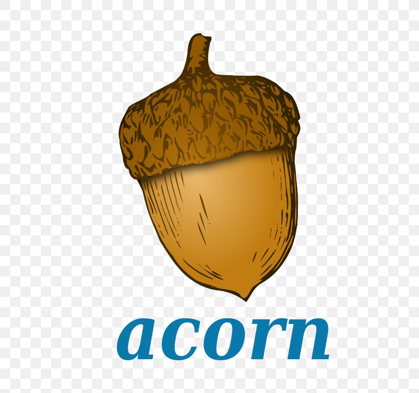 Acorn Flour Chinkapin Oak Clip Art, PNG, 768x768px, Acorn, Acorn Flour, Drawing, English, Food Download Free