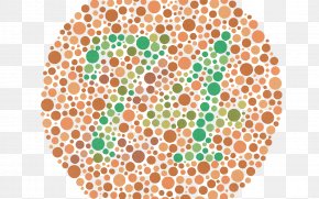 Ishihara Test Color Blindness Color Vision Vision Loss Visual Perception PNG