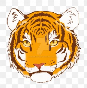 Tiger - Tiger Whiskers Snout Clip Art PNG