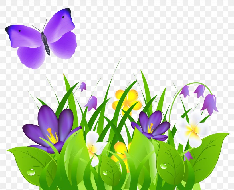 Butterfly Flower Clip Art, PNG, 3366x2731px, Butterfly, Blog, Color, Crocus, Flora Download Free