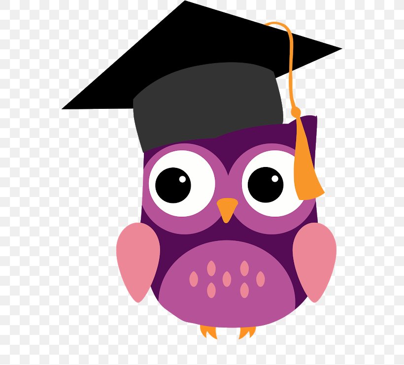 Graduation Ceremony Zazzle Academic Certificate Owl Gift, PNG, 572x741px, Graduation Ceremony, Academic Certificate, Beak, Bird, Bird Of Prey Download Free
