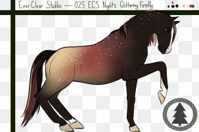 Mustang - Mane Mustang Stallion Pony Mare PNG