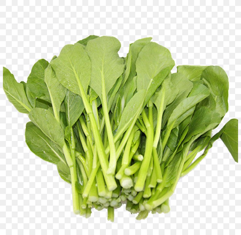 Romaine Lettuce Choy Sum Chinese Cabbage Vegetable Spring Greens, PNG, 800x800px, Romaine Lettuce, Chinese Cabbage, Choy Sum, Collard Greens, Food Download Free