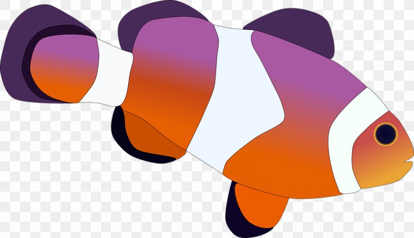 Vector Graphics Pixabay Image Clownfish, PNG, 833x480px, Clownfish, Anemone Fish, Clown, Coral, Digital Image Download Free