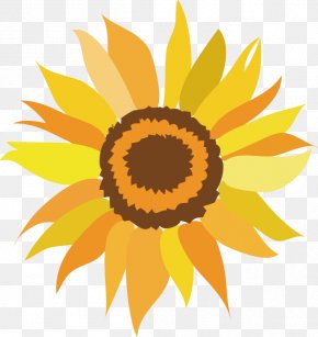 Sunflower - Zenfone 3 ZE520KL Common Sunflower Clip Art PNG