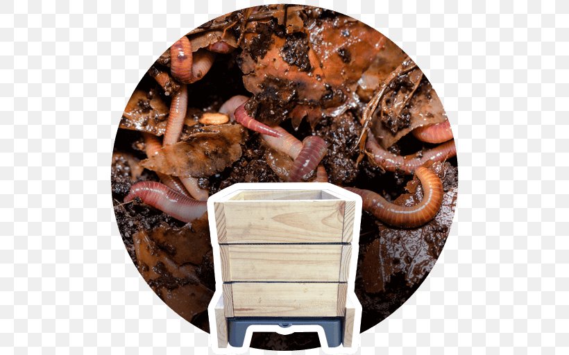 Earthworms Waste Vermicompost Recycling Eisenia Fetida, PNG, 512x512px, Earthworms, Animal Source Foods, Earth, Eisenia Fetida, Fertilisers Download Free