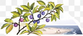 Design - Floral Design Cut Flowers Fruit PNG
