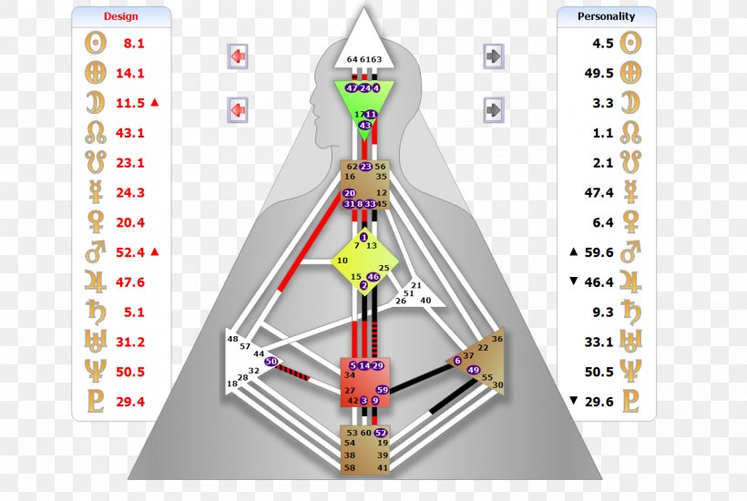 Person Homo Sapiens Mind, PNG, 1200x805px, Person, Concept, Definition, Diagram, Homo Sapiens Download Free