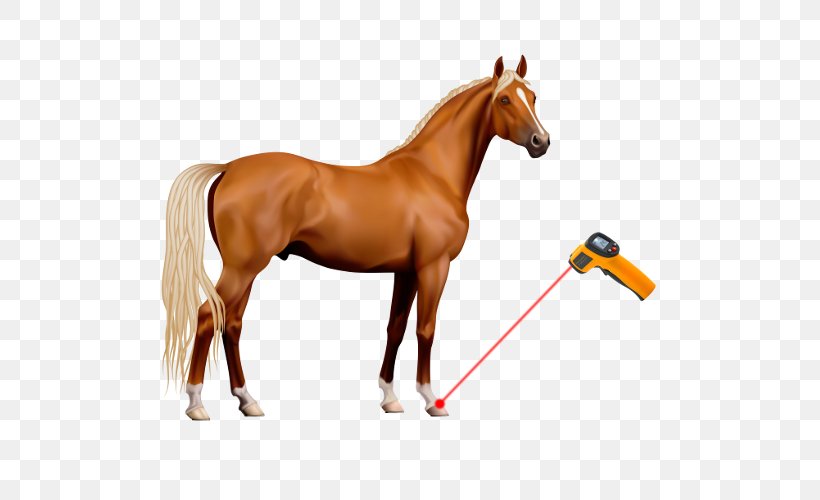 American Paint Horse Clip Art, PNG, 500x500px, American Paint Horse, Animal Figure, Bridle, Colt, Equestrian Download Free