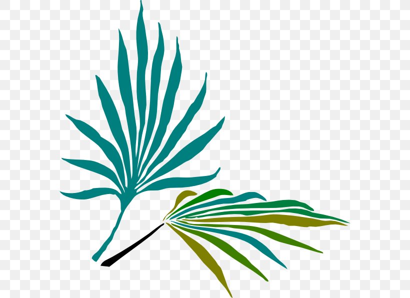 Frond Arecaceae Palm-leaf Manuscript Clip Art, PNG, 582x596px, Frond, Arecaceae, Arecales, Artwork, Branch Download Free