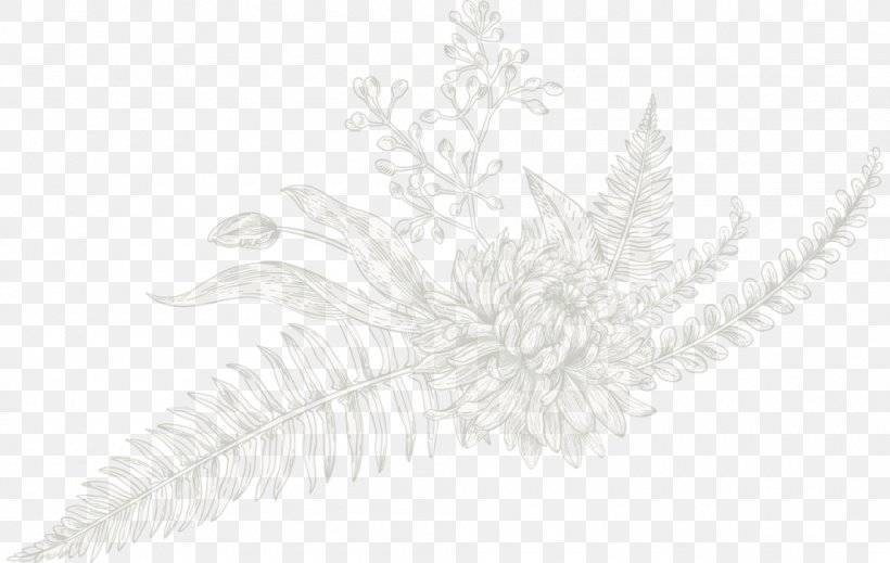 Line Art, PNG, 1000x633px, Line Art, Black And White, Branch, Monochrome, Monochrome Photography Download Free