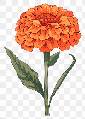 Marigold Orange - Orange Marigold Flower Illustration PNG