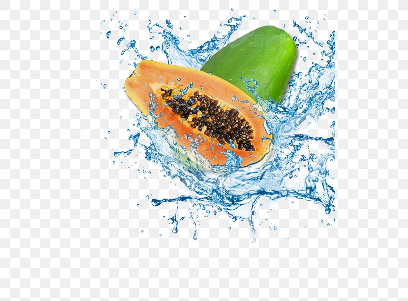 Papaya Water Icon, PNG, 528x606px, Papaya, Carotene, Cashew, Folate, Food Download Free