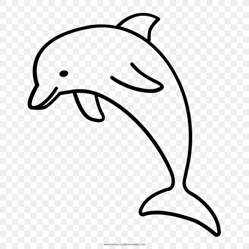 River Dolphin Drawing Clip Art, PNG, 1000x1000px, Dolphin, Animal, Aquatic Animal, Artwork, Beak Download Free