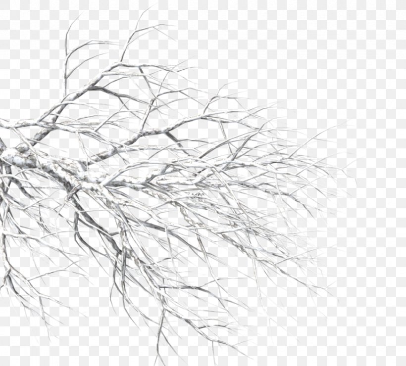 Twig Black And White Drawing Sketch, PNG, 872x787px, Twig, Artwork, Black And White, Branch, Drawing Download Free