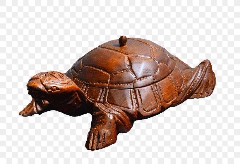 Box Turtles Tortoise Teak Wood Symbol, PNG, 1024x700px, Box Turtles, Advertising, Animal, Box Turtle, Emydidae Download Free