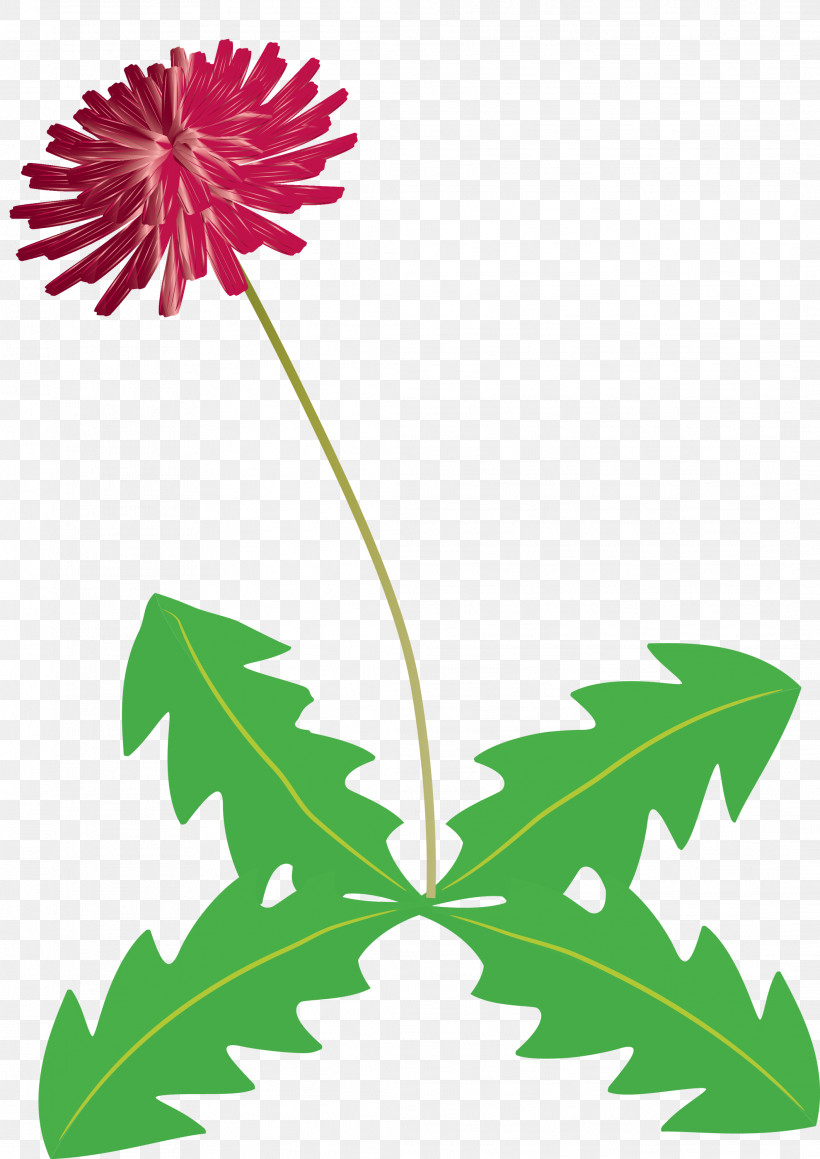 Dandelion Flower, PNG, 2121x2999px, Dandelion Flower, Common Daisy, Cut Flowers, Flower, Flower Garden Download Free
