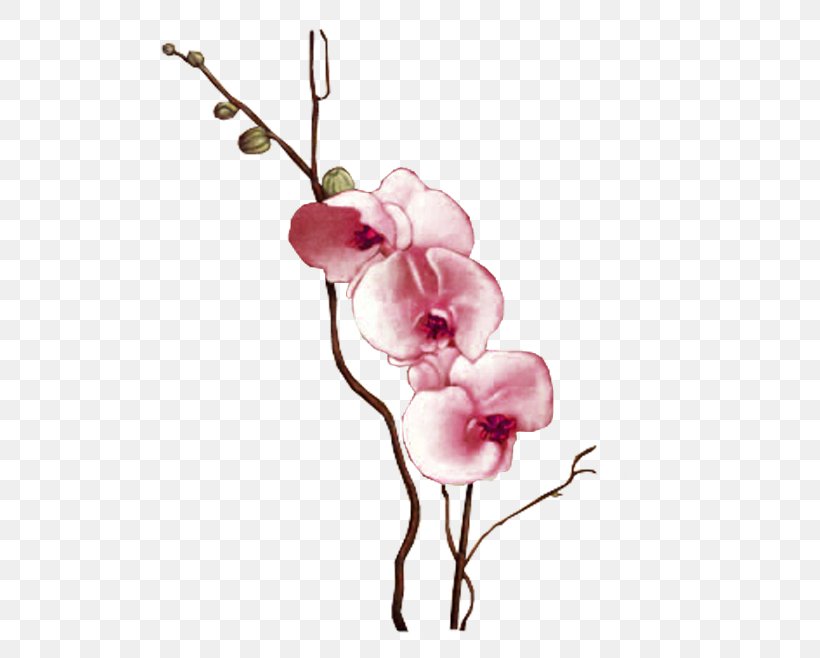 Flower Photography Clip Art, PNG, 733x658px, Flower, Blossom, Branch, Cut Flowers, Decoupage Download Free