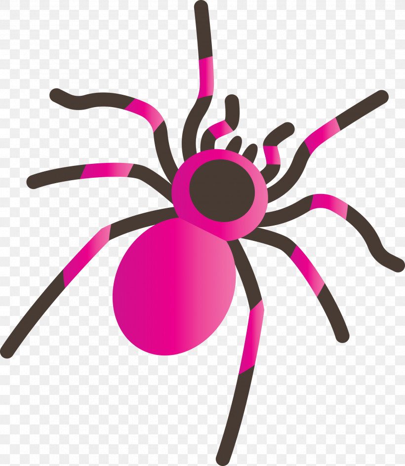 Insect Line, PNG, 2604x3000px, Cartoon Spider, Insect, Line Download Free