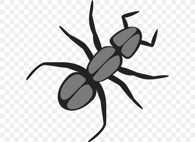 Ant Insect Cartoon Clip Art, PNG, 600x600px, Ant, Ant Colony, Arthropod, Artwork, Black And White Download Free