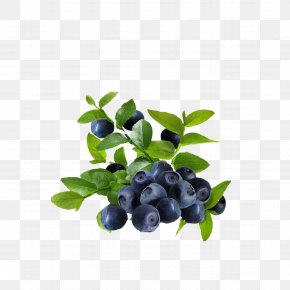 Blueberry - Juice Frutti Di Bosco Blueberry Bilberry Leaf PNG