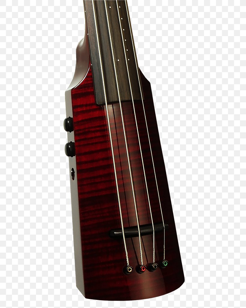 Violone Double Bass Cello Guitar Amplifier Bass Guitar, PNG, 455x1024px, Violone, Acoustic Guitar, Bass, Bass Guitar, Bowed String Instrument Download Free