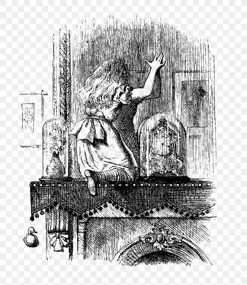 Aliciae Per Speculum Transitus Alice's Adventures In Wonderland The Annotated Alice The Nursery 