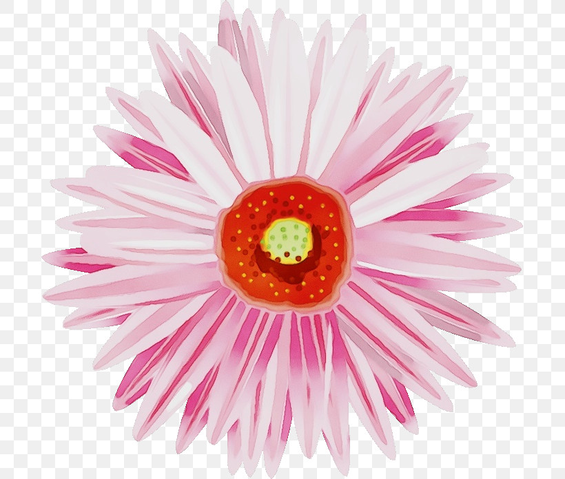 Artificial Flower, PNG, 699x696px, Watercolor, Artificial Flower, Aster, Barberton Daisy, Cut Flowers Download Free