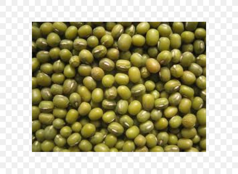 Dal Mung Bean Porotos Granados Adzuki Bean, PNG, 600x600px, Dal, Adzuki Bean, Agriculture, Bean, Commodity Download Free