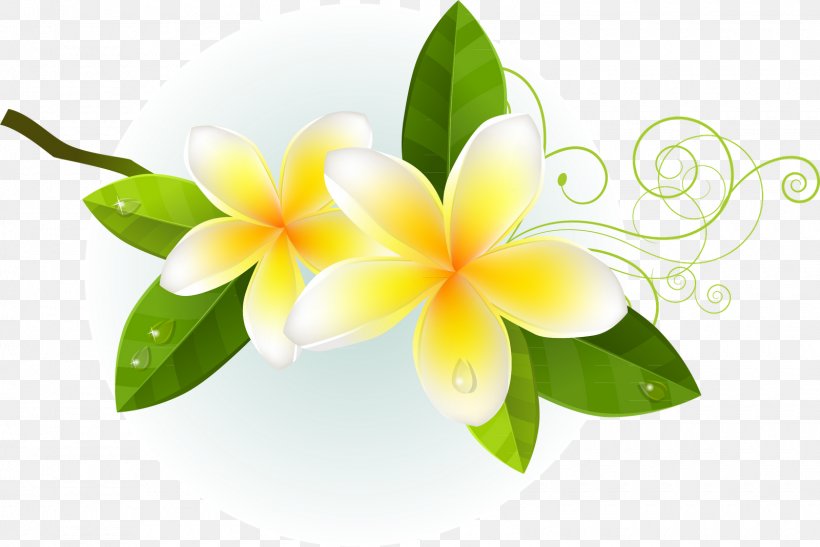 Floral Design Drawing Flower, PNG, 1600x1068px, Floral Design, Drawing, Floristry, Flower, Flowering Plant Download Free