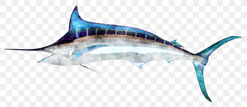 Swordfish Billfish, PNG, 1623x708px, Swordfish, Animal Figure, Atlantic Blue Marlin, Biggame Fishing, Billfish Download Free