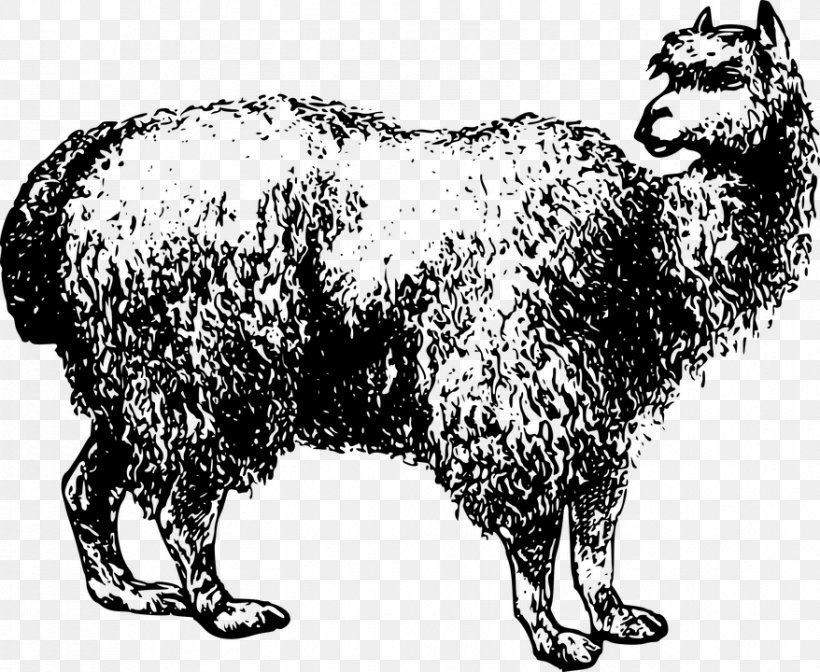 Alpaca Fiber Pixabay Illustration, PNG, 878x720px, Alpaca, Alpaca Fiber, Black And White, Bull, Cattle Like Mammal Download Free