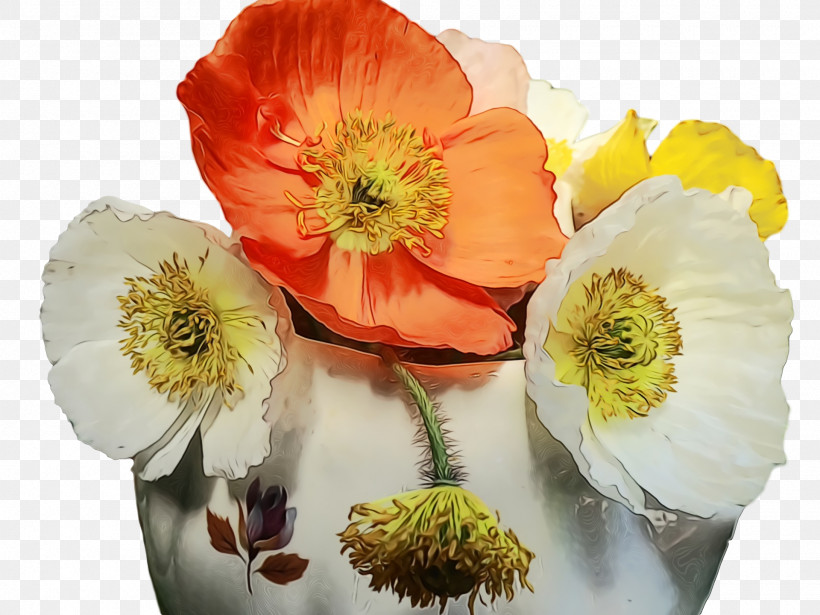 Cut Flowers Wildflower Anemone Petal Flower, PNG, 1920x1440px, Watercolor, Anemone, Cut Flowers, Flower, Paint Download Free