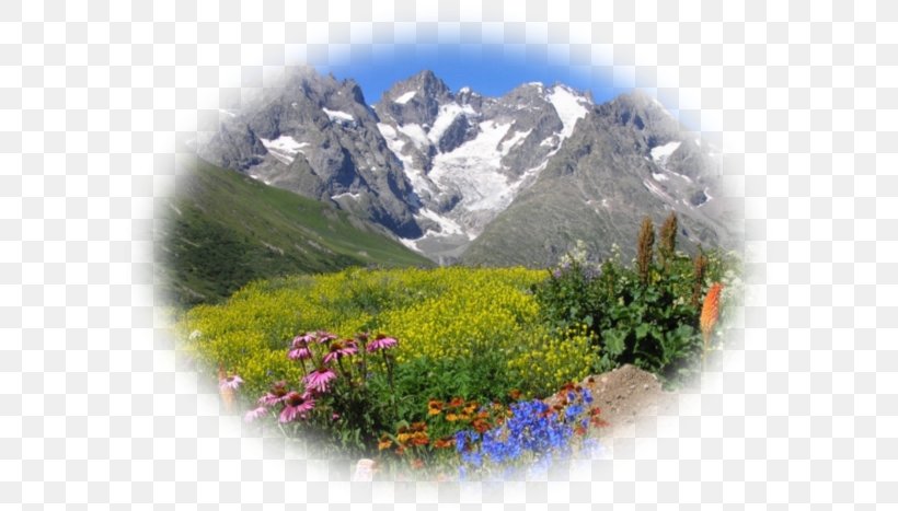French Alps Écrins National Park Col Du Lautaret Briançon Mont Blanc, PNG, 600x467px, French Alps, Alps, Col Du Lautaret, France, Hautesalpes Download Free