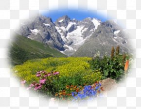 Mountain - French Alps Ã‰crins National Park Col Du Lautaret BrianÃ§on Mont Blanc PNG