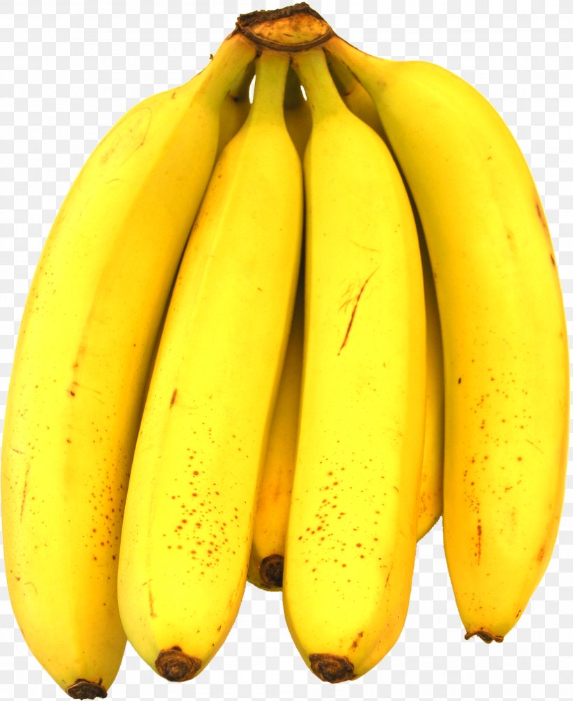 Banana Fruit Orange, PNG, 1903x2331px, Banana, Apricot, Avocado, Banana Family, Cavendish Banana Download Free