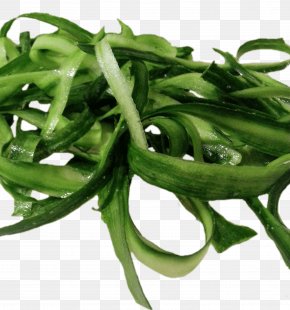 Vegetable - Green Bean Peel Vegetable Cucumber PNG