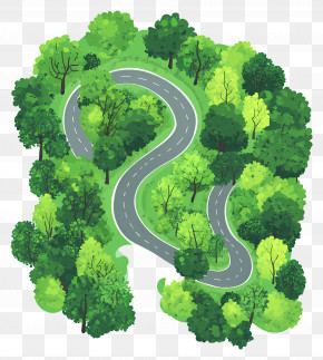 Dense Forest - Winding Road Through Forest Illustration PNG