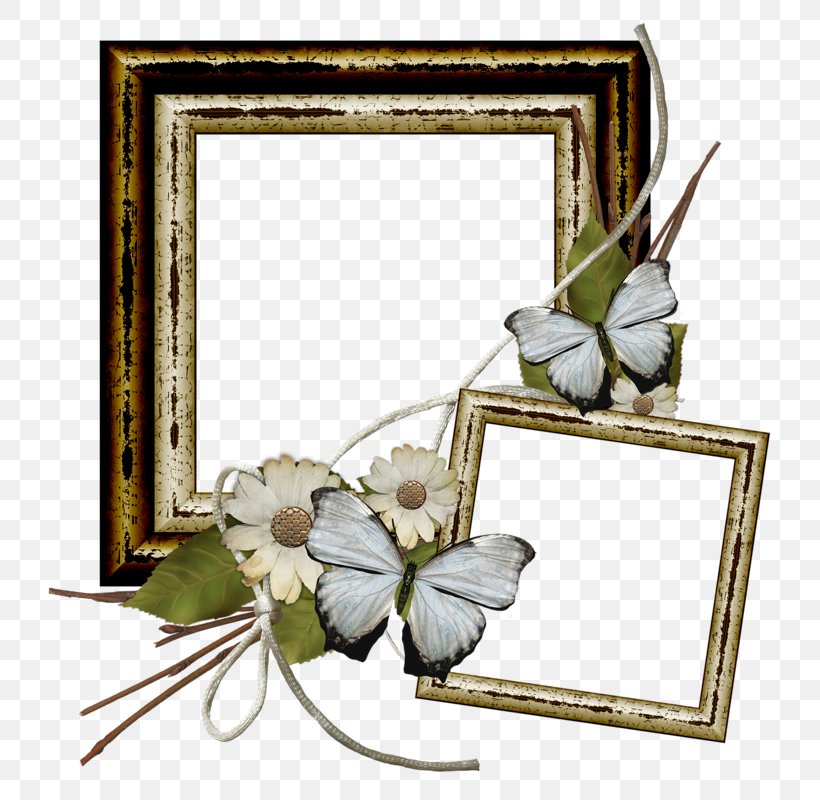 Floral Design Picture Frames Flower, PNG, 768x800px, Flora, Butterfly, Floral Design, Flower, Flower Arranging Download Free