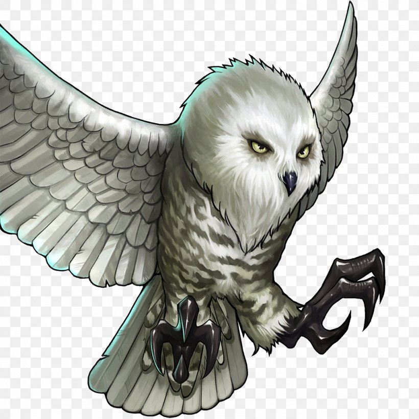 Snowy Owl Bird Barn Owl Beak, PNG, 1024x1024px, Owl, Arctic, Barn Owl, Beak, Bird Download Free