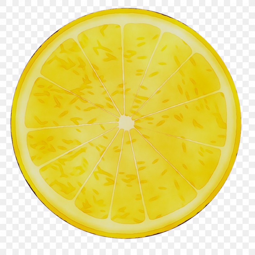 Lemon Citric Acid Yellow Product, PNG, 1016x1016px, Lemon, Acid, Citric Acid, Citron, Citrus Download Free