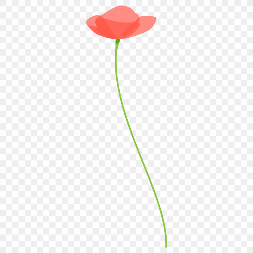 Poppy Flower, PNG, 1200x1200px, Poppy Flower, Anthurium, Coquelicot, Flower, Leaf Download Free